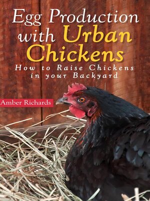 cover image of Egg Production with Urban Chickens--How to Raise Chickens in Your Backyard